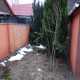 DSC04169.JPG